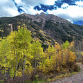 Aspen Road