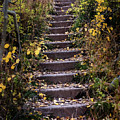 A stairway to heaven