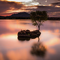 Seeking Stillness