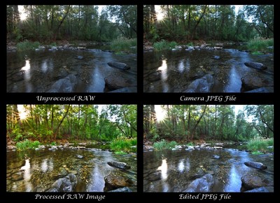 Raw Vs Jpeg